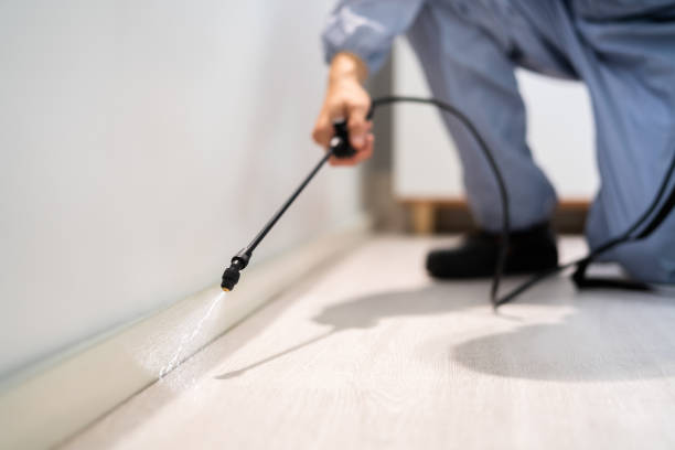 Licensed Pest Control service in York County County, VA - Nex Pest Control