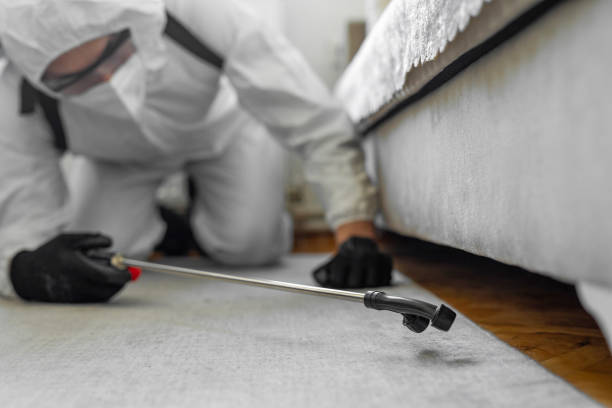 Professional Pest Control technician working in York County County, VA